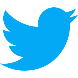 Twitter (X)